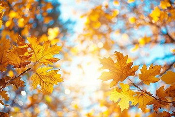 Obraz premium Autumn landscape. Autumn oak leafes, very shallow focus.