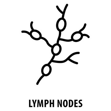 lymph nodes Icon simple and easy to edit for your design elements