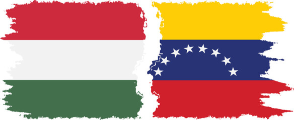 Venezuela and Hungary grunge flags connection vector