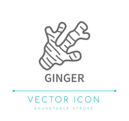Ginger Line Icon