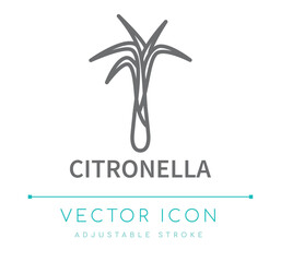 Citronella Line Icon