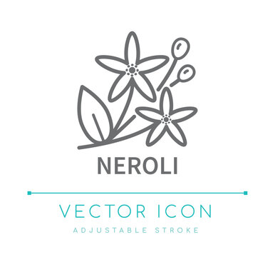 Neroli Line Icon