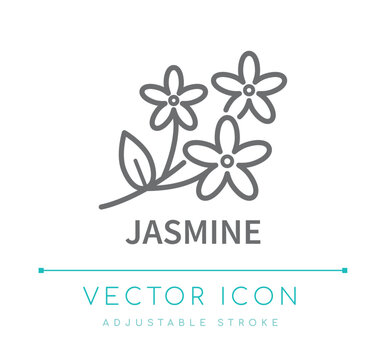 Jasmine Line Icon