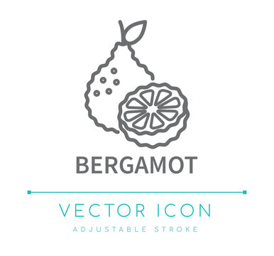 Bergamot Line Icon