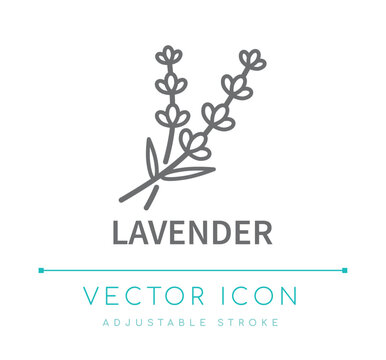 Lavender Line Icon