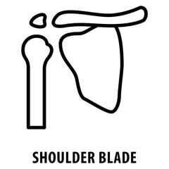 shoulder blade Icon simple and easy to edit for your design elements
