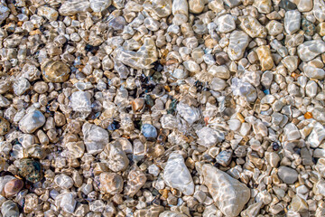 Lake Superior Rocks in Water