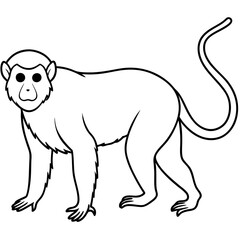 illustration of a Monkey line art vector