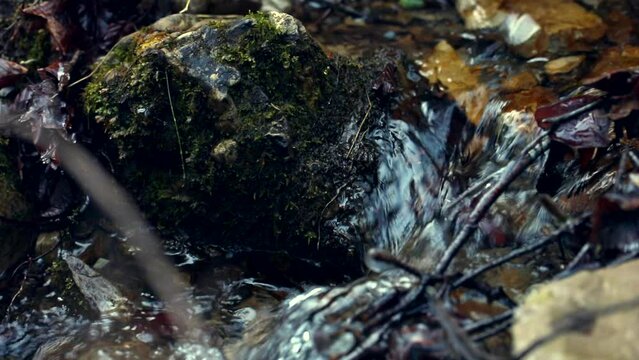 acqua limpida e fresca che scorre lungo i sassi di un piccolo ruscello di montagna, di giorno