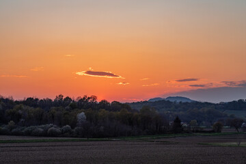 vista dettagliata di un ambiente naturale di campagna nell'Italia nord orientale, in controluce, al tramonto, in primavera, mentre il sole colora di arancione il cielo