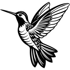 colibri 