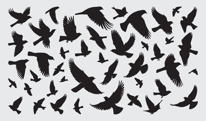 Birds Silhouette Vector Collection Hand drawn