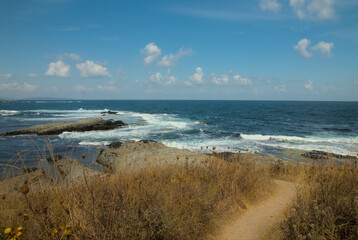 A stormy sea with waves rising and crashing against a rocky shore. Clear day with a blue sky. Background.