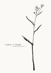 Meadow herb. Field flower. Pointillism illustration. Dot art. Vector floral. Black on white