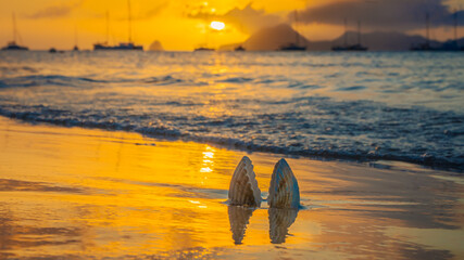 Coucher de soleil à la plage de l'Anse Caritan à Sainte-Anne en Martinique, Antilles Françaises.	