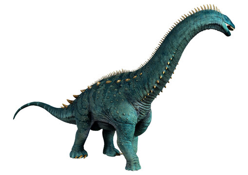 3D Rendering DinosaurAlamosaurus on White