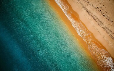 Fototapeta premium Beach with trees and sea under a sunny sky, summer