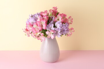 Beautiful alstroemeria flowers in vase on color background