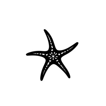 recommend clip art: Starfish