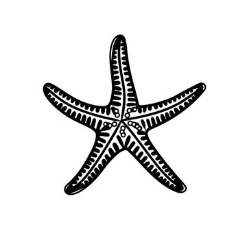 recommend clip art: Starfish