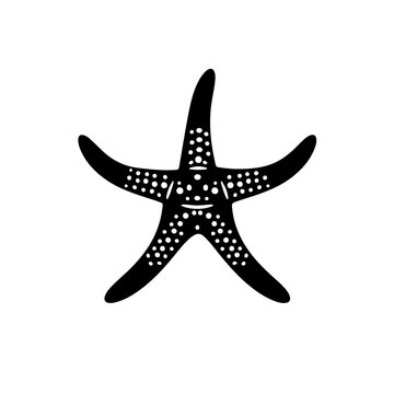recommend clip art: Starfish