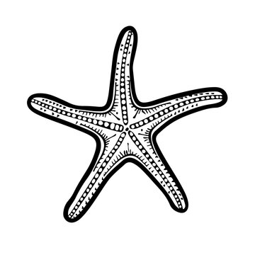 recommend clip art: Starfish