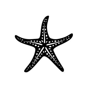 recommend clip art: Starfish