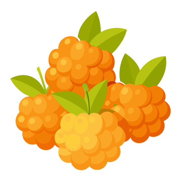 Fresh cloudberries with green leaves, highlighting their bright orange color and clustered formation.