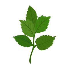 Green Peppermint Branch Icon