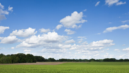 Beautiful rural landscape photo of an agricultural farm field with a tree-lined background taken on a warm partially cloudy day.