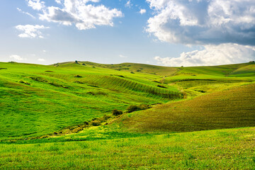 young spring field on hills of green rustic farmland with grass plants and garden. Countryside green spring or summer season landscape of farm with beautiful blue cloudy sky on background