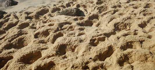 beach wall texture clean water green house house foam rock nature beauty sugar loaf cable car coconut palm tree sand sun stone travel vegetation landscape