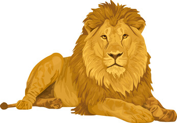 beautiful lion realistic animal lion of Africa