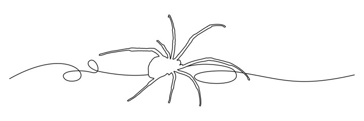 line art illustration  background spider for a halloween day