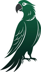 Parrot vector illustration style