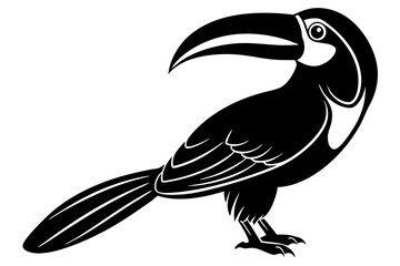 Toucan silhouette   black color 