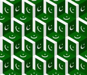 pakistan flag box pattern. vector illustration