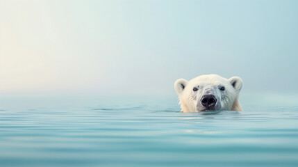 polar bear peeking out of water