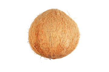 a whole brown coconut isolated transparent