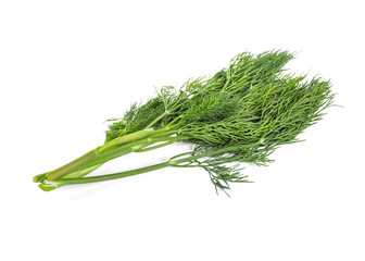Sprigs of fresh green dill isolated on white