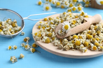 Dry and fresh chamomile flowers on light blue wooden table, closeup