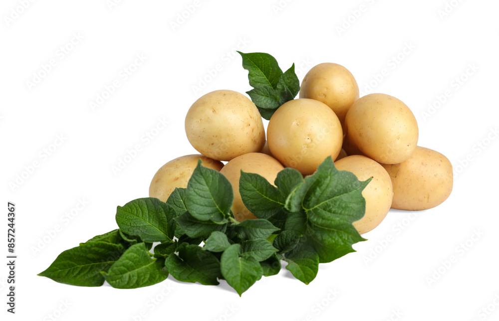 Wall mural Fresh raw potatoes and green leaves isolated on white