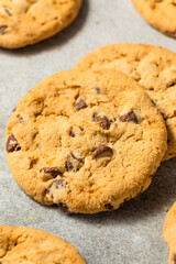 Warm Gooey Chocolate Chip Cookies