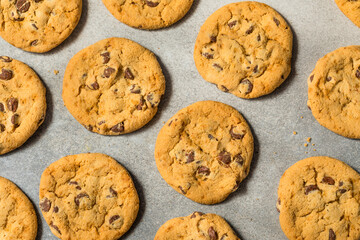 Warm Gooey Chocolate Chip Cookies