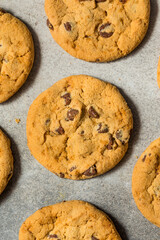 Warm Gooey Chocolate Chip Cookies