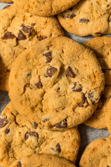 Warm Gooey Chocolate Chip Cookies