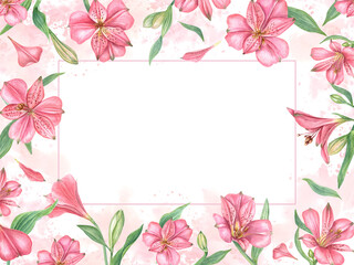 Pink alstroemeria flowers on watercolor texture. Floral horizontal frame with flower, leaf. Botanical painting illustration. Alstromeria template with copy space for text. For design, invitations