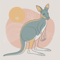 kangaroo in the sun
