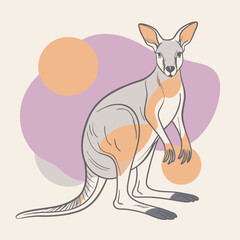 kangaroo in the park