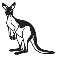 kangaroo illustration